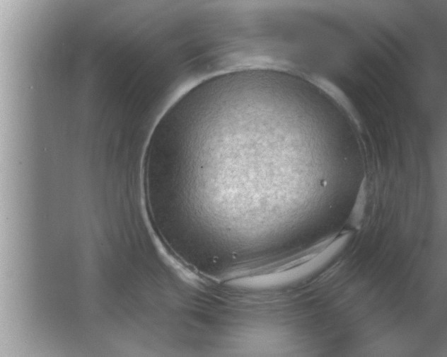 X0000063481439200602031914