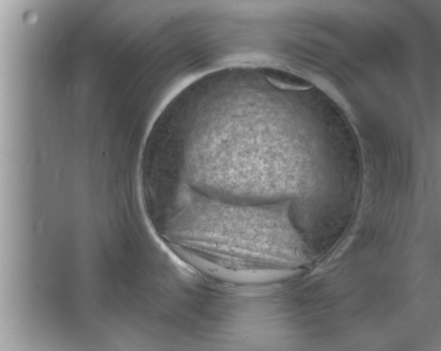 X0000063481440200602031914