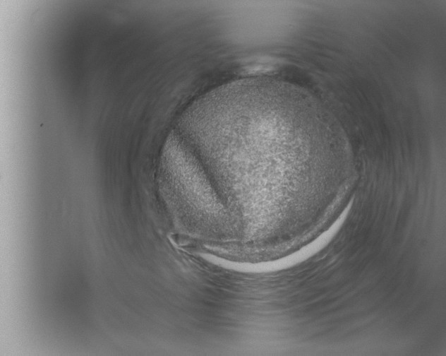 X0000063481441200602031913