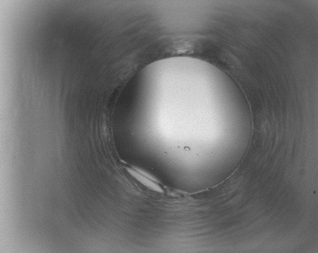 X0000063481442200602031913