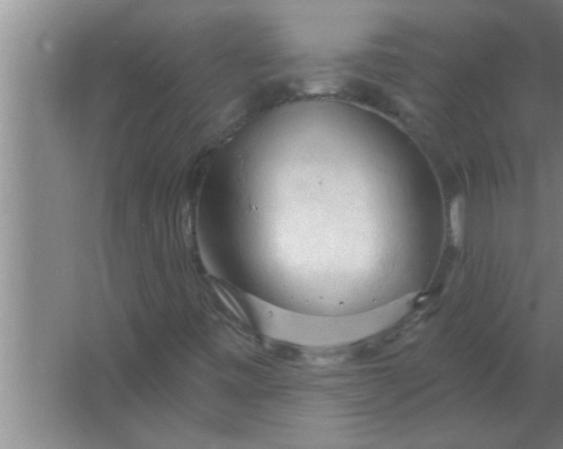 X0000063481443200602031913