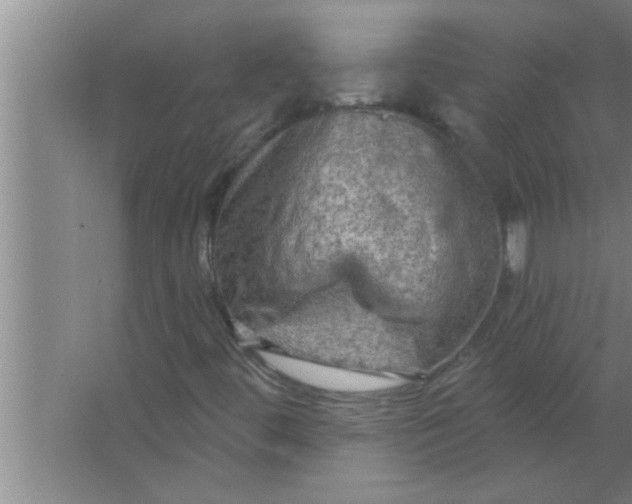 X0000063481444200602031913