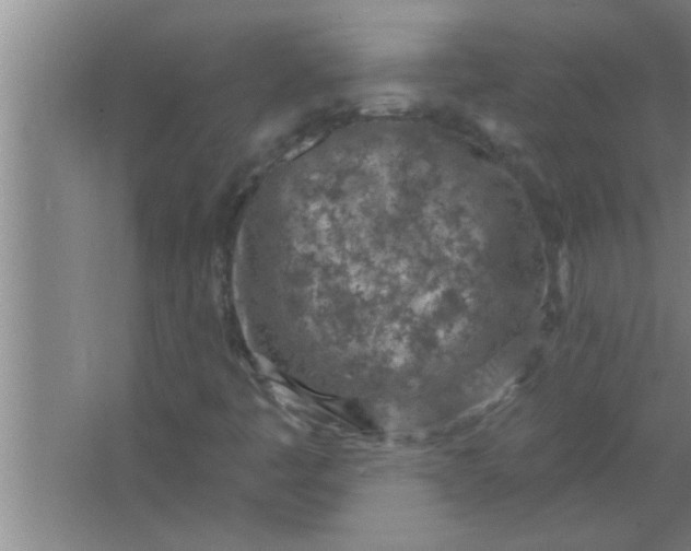 X0000063481445200602031913