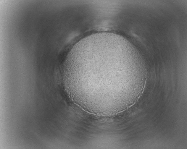 X0000063481446200602031913