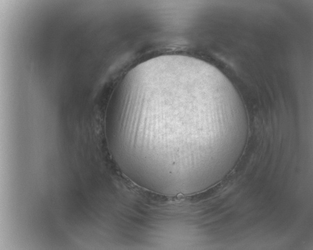 X0000063481447200602031913