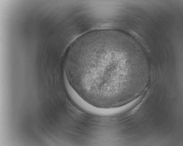 X0000063481449200602031913