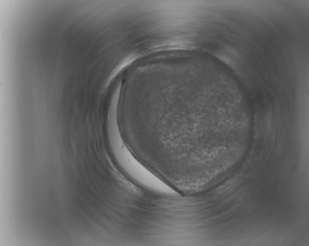 X0000063481450200602031913