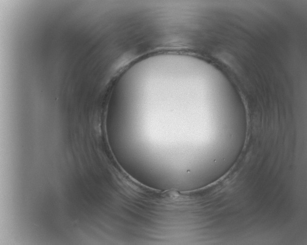 X0000063481451200602031913