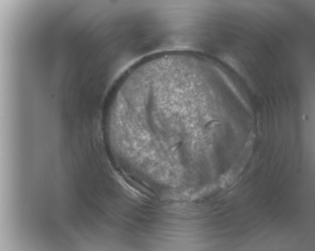 X0000063481452200602031913