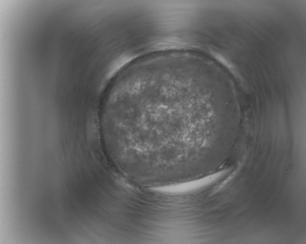 X0000063481453200602031913