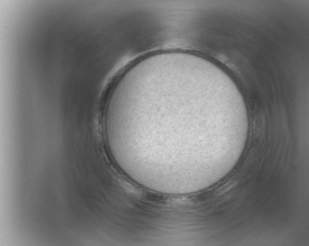 X0000063481454200602031913