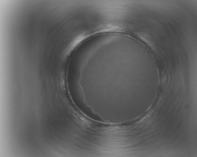 X0000063481455200602031913