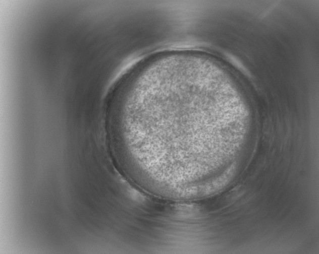 X0000063481456200602031913