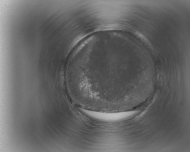 X0000063481457200602031913