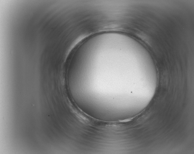 X0000063481458200602031913