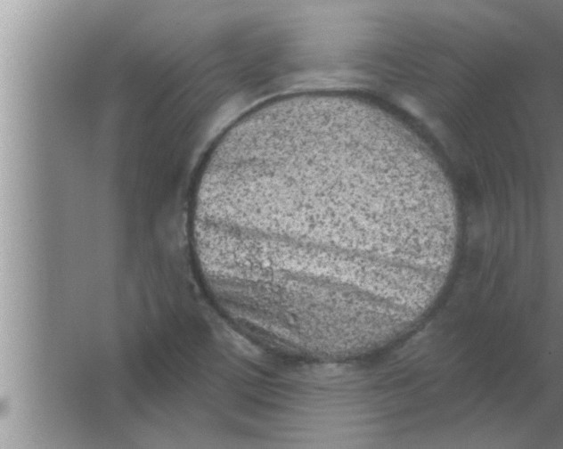 X0000063481459200602031913