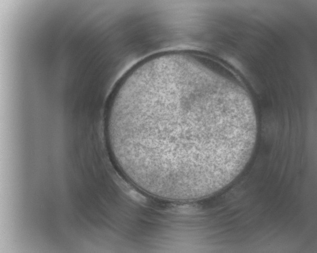 X0000063481460200602031913