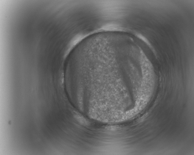 X0000063481461200602031913