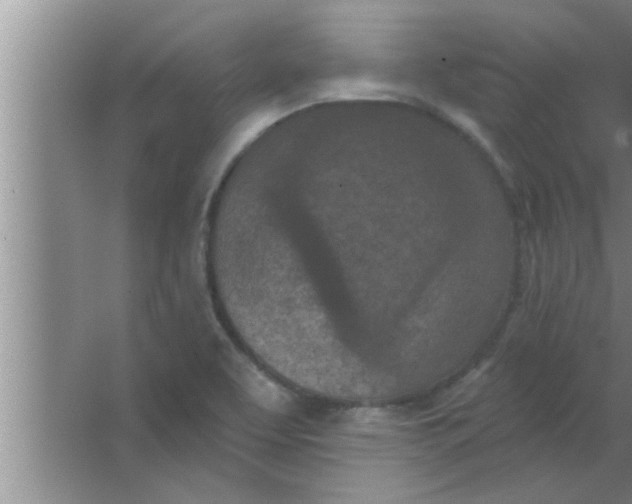 X0000063481463200602031913