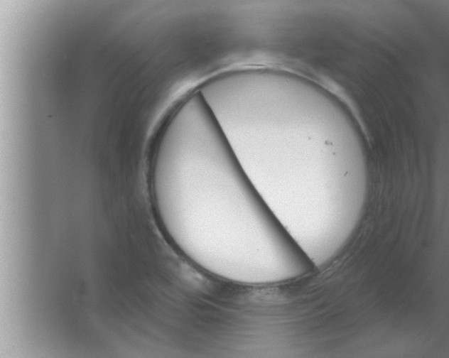 X0000063481464200602031913