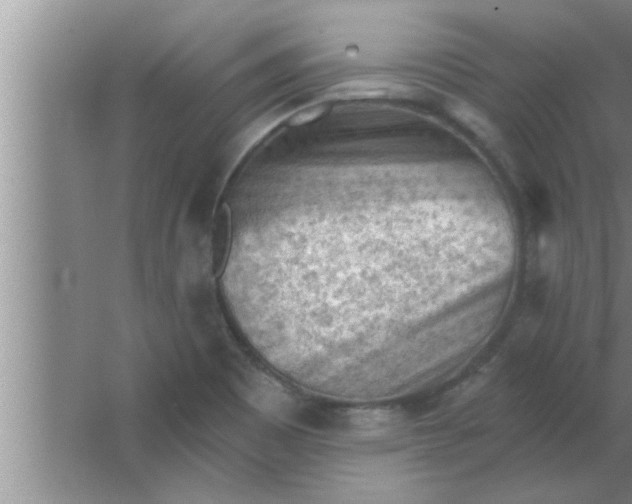 X0000063481465200602031913