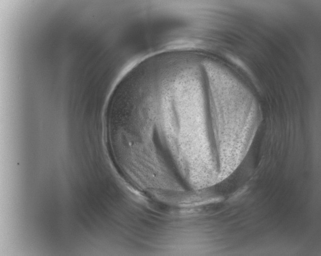 X0000063481467200602031913