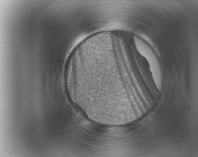 X0000063481469200602031913