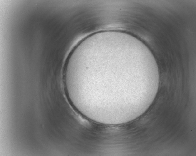 X0000063481470200602031913