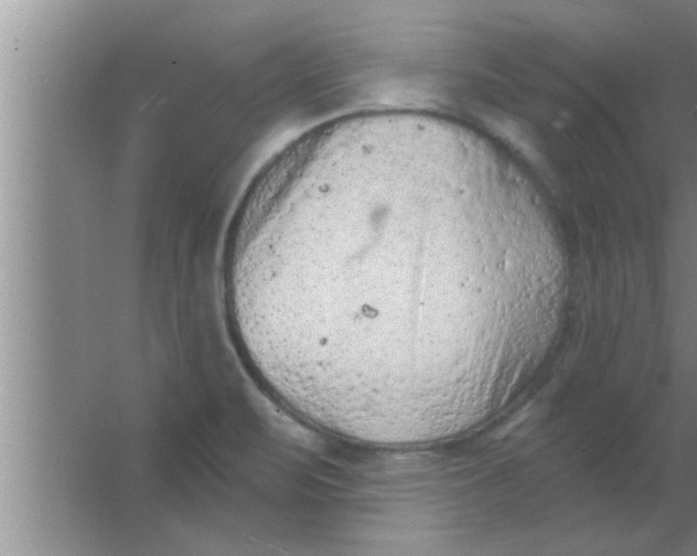 X0000063481471200602031913