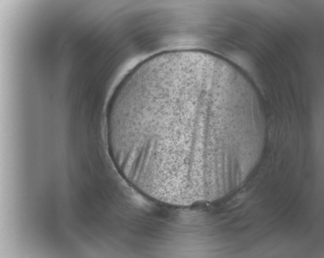 X0000063481472200602031913