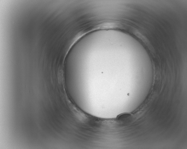 X0000063481473200602031913