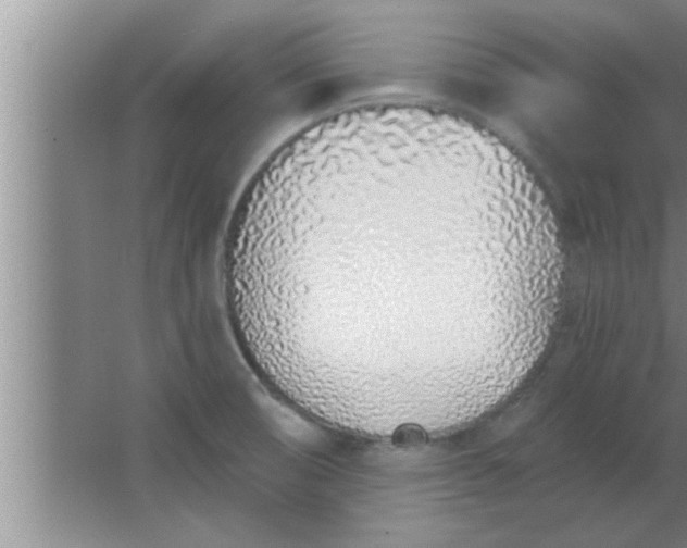 X0000063481474200602031913