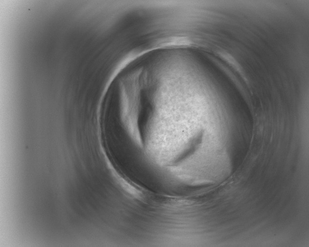 X0000063481475200602031913