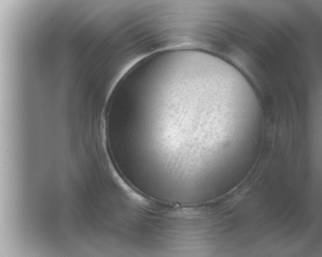 X0000063481476200602031913