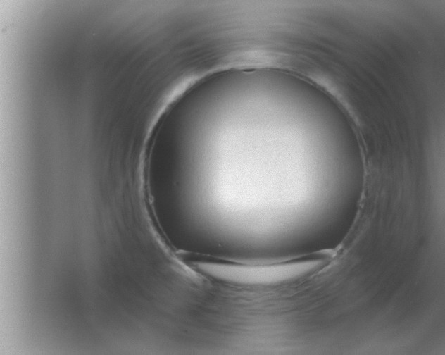 X0000063481477200602031913