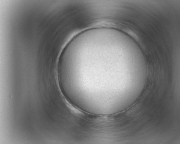 X0000063481478200602031913