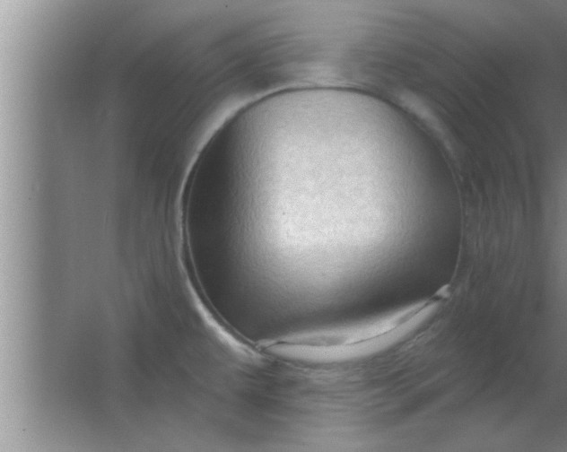 X0000063481479200602031913