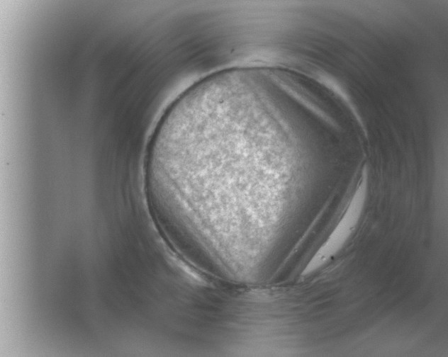 X0000063481480200602031913