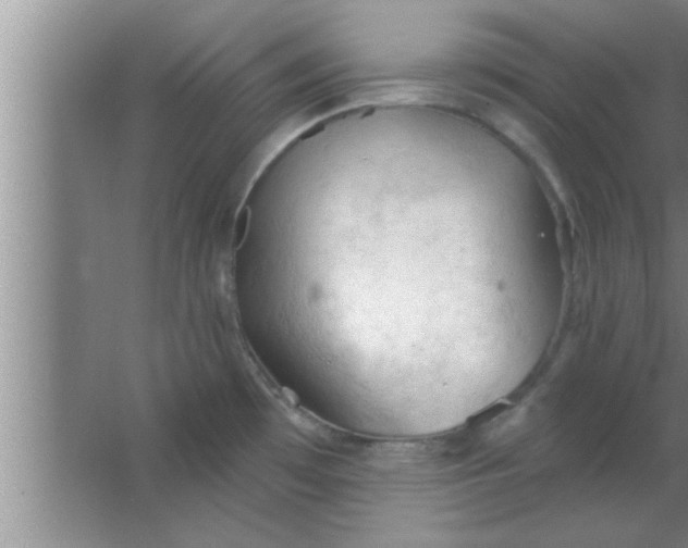 X0000063481481200602031913