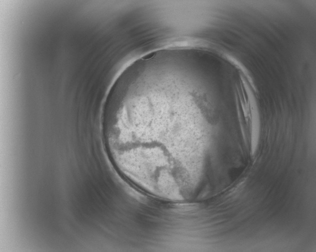 X0000063481483200602031913