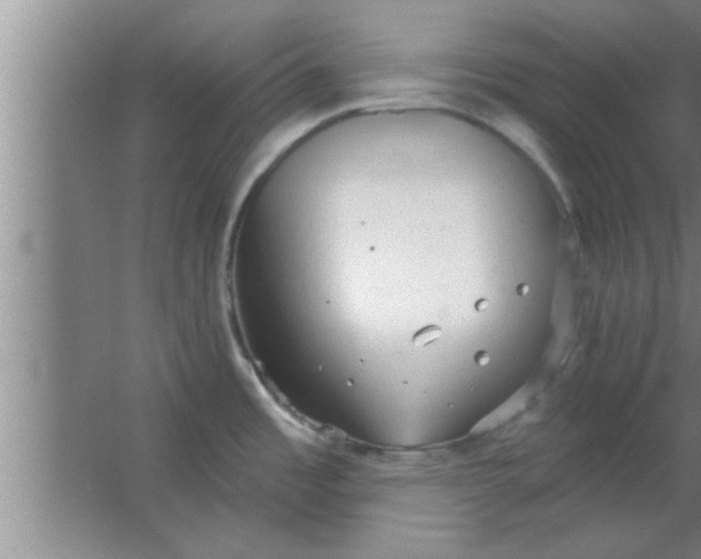 X0000063481485200602031913