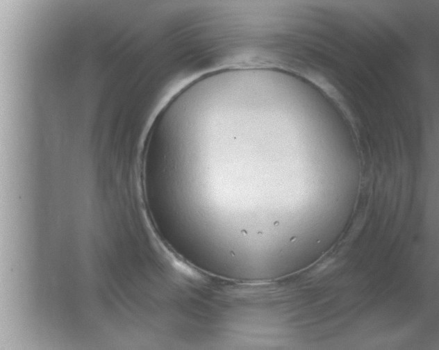 X0000063481486200602031913