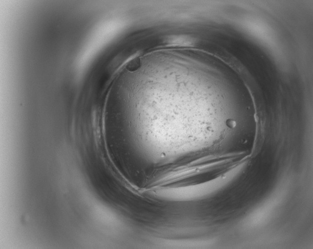 X0000063481487200602031913