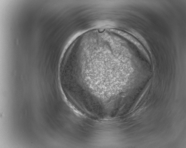 X0000063481488200602031913