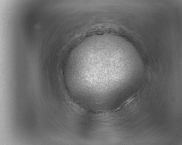 X0000063481489200602031912