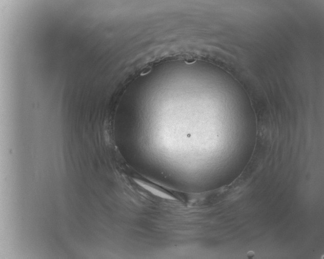 X0000063481490200602031912