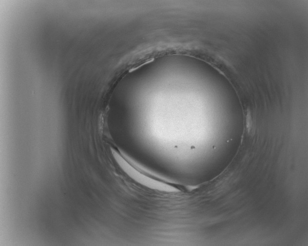 X0000063481492200602031912