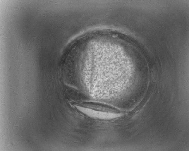 X0000063481494200602031912