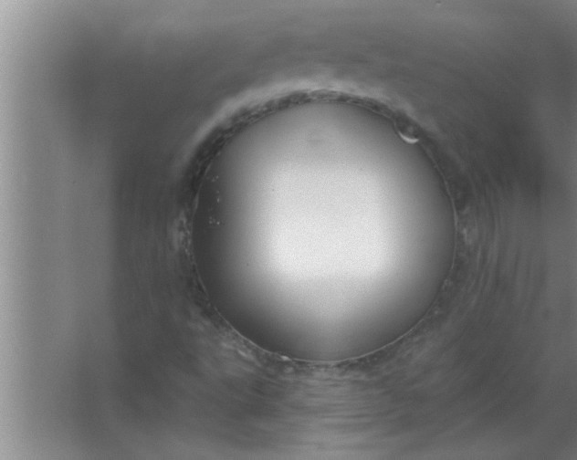 X0000063481495200602031912