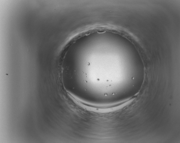 X0000063481496200602031912